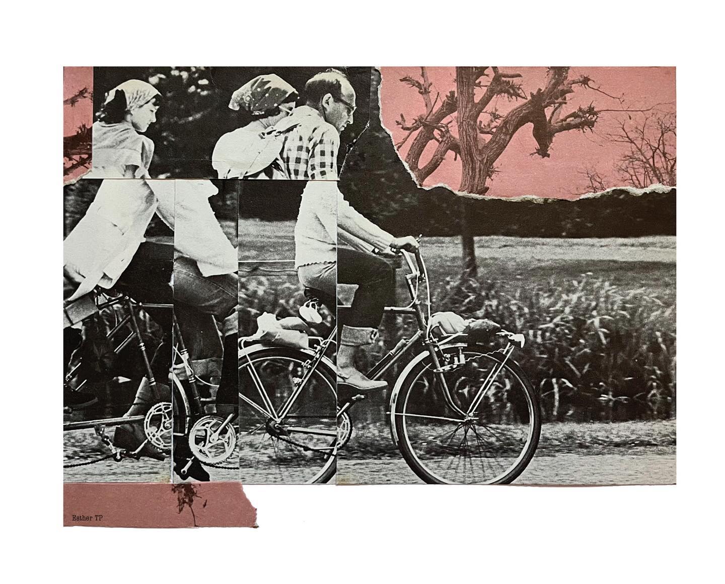 A collage featuring a vintage black-and-white photograph of two people riding bicycles side by side through a park. The image is fragmented into vertical and horizontal strips, creating a disrupted, slightly misaligned effect. The riders wear casual clothing and headscarves, and the bicycles have bags attached to the back. Behind them, a landscape with trees and grass appears, while the top portion of the collage is overlaid with torn paper in muted pink tones, adding contrast and a textured, handmade feel. The artist’s name, “Esther TP,” appears in small text at the bottom left corner.